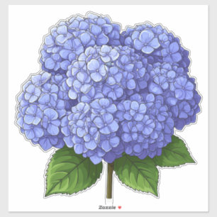Blue Hydrangea Flower Cluster With Green Leaves Sticker