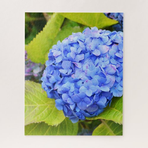 Blue Hydrangea flower Jigsaw Puzzle