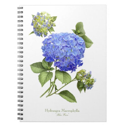 Blue Hydrangea Flower Notebook