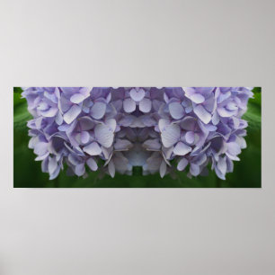 Blue Hydrangea Flower Petals Mirror Abstract Poster