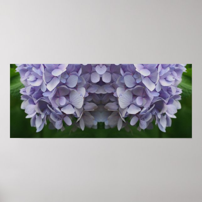 Blue Hydrangea Flower Petals Mirror Abstract Poster (Front)