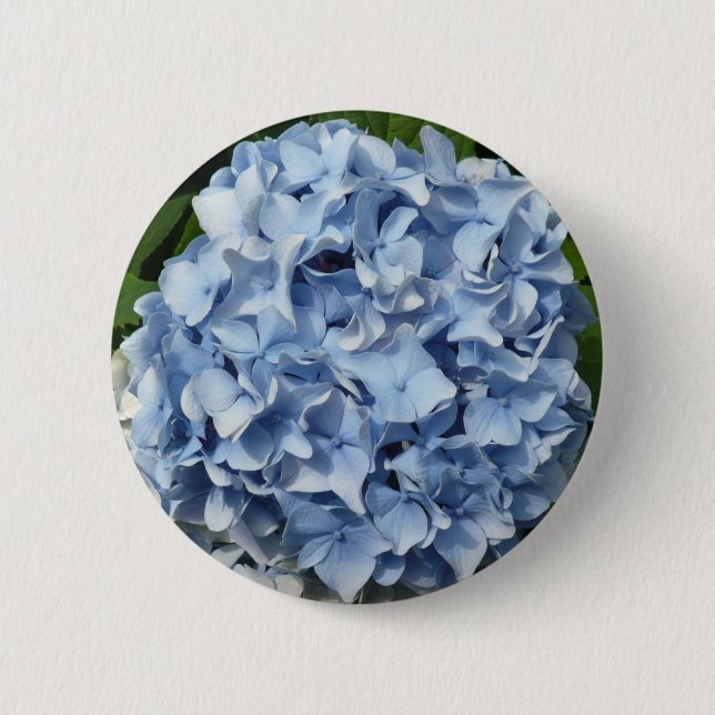 Blue Hydrangea Flower Pinback Button (Front)