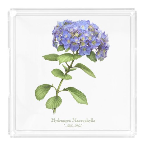 Blue Hydrangea Flower Vanity Tray