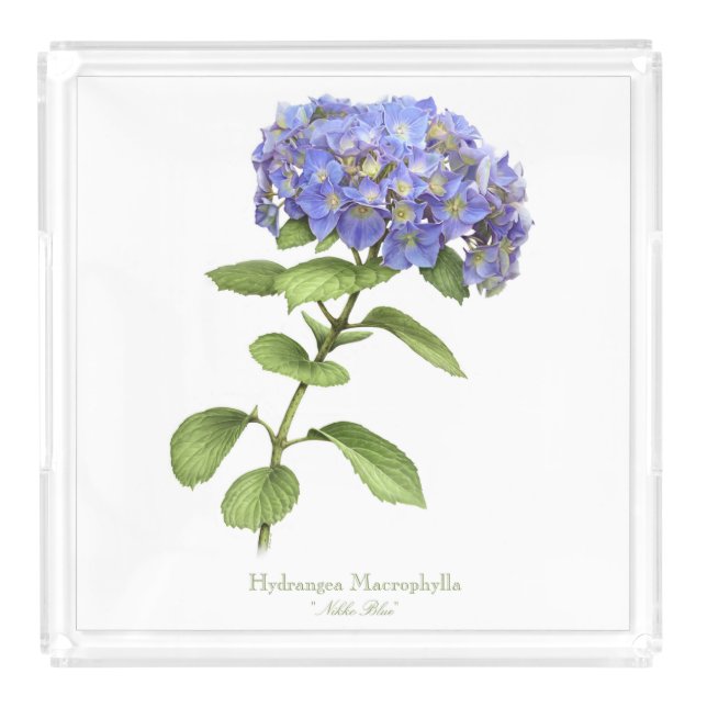 Blue Hydrangea Flower Vanity Tray (Front)