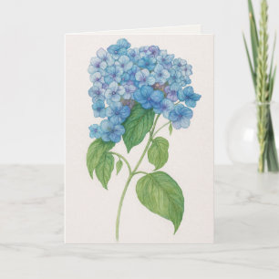 Blue Hydrangea Flower   Watercolor Card