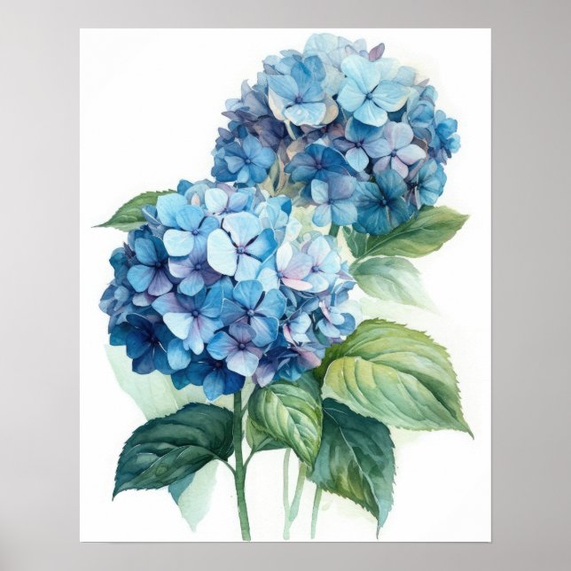 Blue Hydrangea Flowers Art Print Poster (Front)