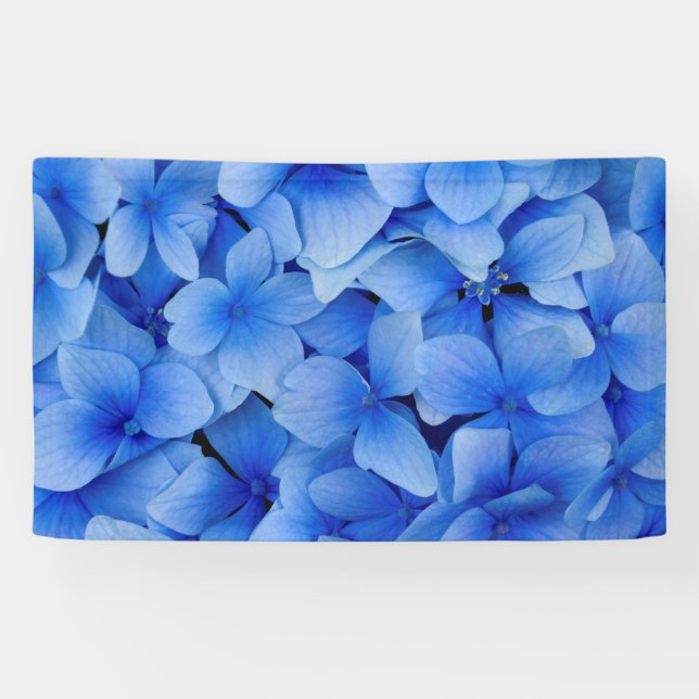 Blue Hydrangea Flowers Banner (Horizontal)