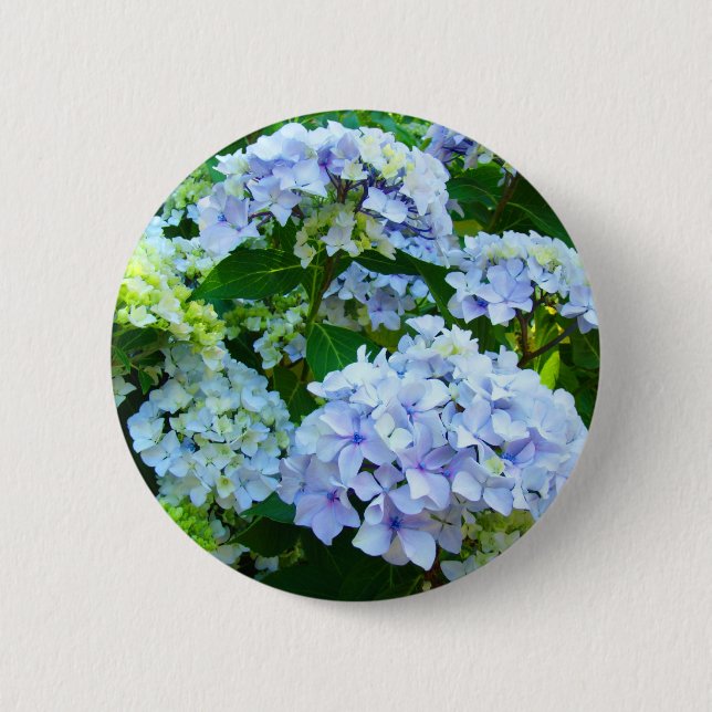 Blue Hydrangea Flowers button Hydrangeas Garden (Front)