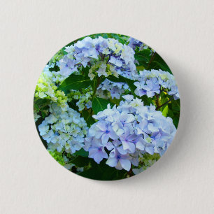 Blue Hydrangea Flowers button Hydrangeas Garden