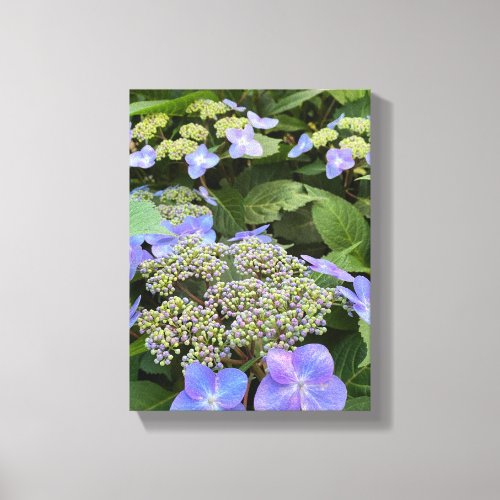 Blue Hydrangea Flowers Canvas Print