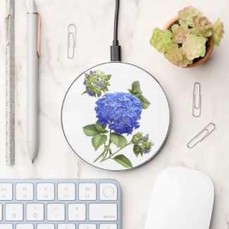 Blue Hydrangea Flowers Modern Botanical Art