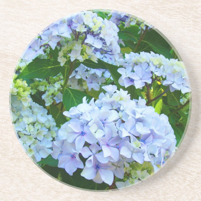 Blue Hydrangea flowers sandstone coasters (Front)