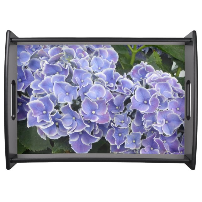 Blue Hydrangea Flowers Serving Tray Black (Front)