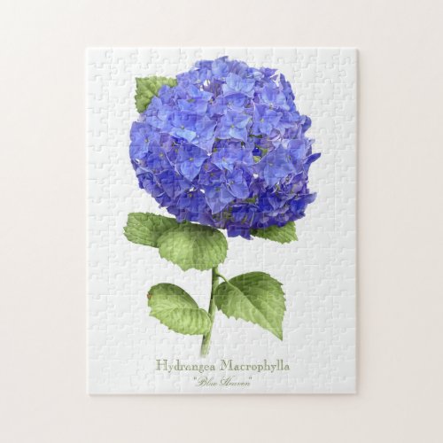 Blue Hydrangea Jigsaw Puzzle