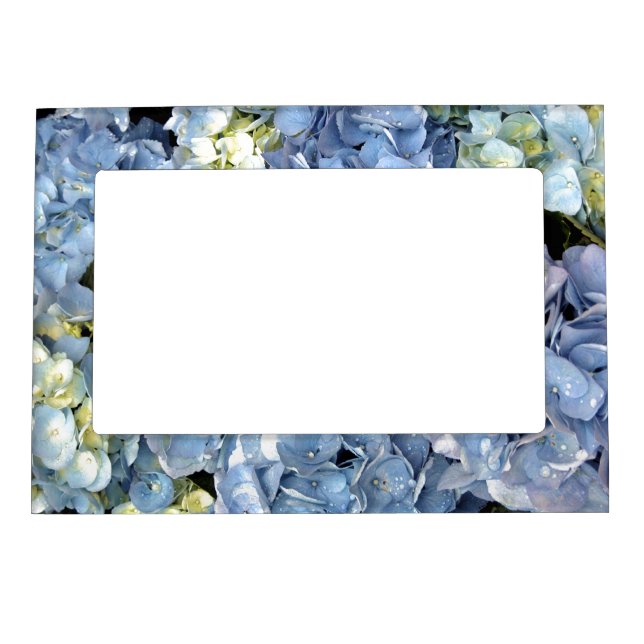 Blue Hydrangea  Magnetic Photo Frame (Front)