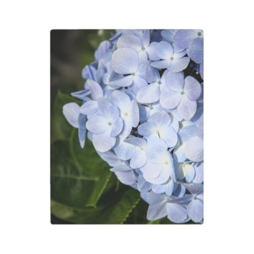 Blue Hydrangea Metal Wall Art