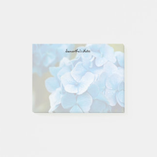 Blue Hydrangea Notes