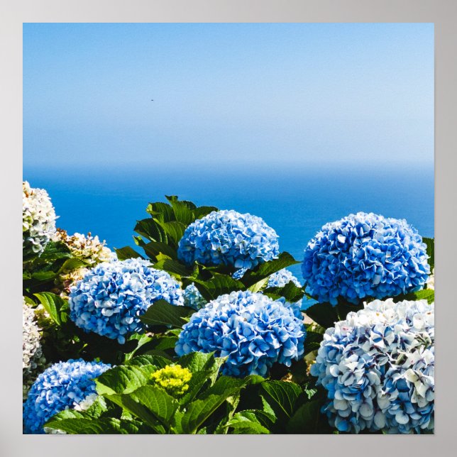 Blue Hydrangea on Gradient ocean Jigsaw Puzzle Poster (Front)