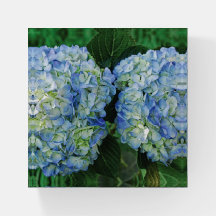 Blue Hydrangea Paperweight