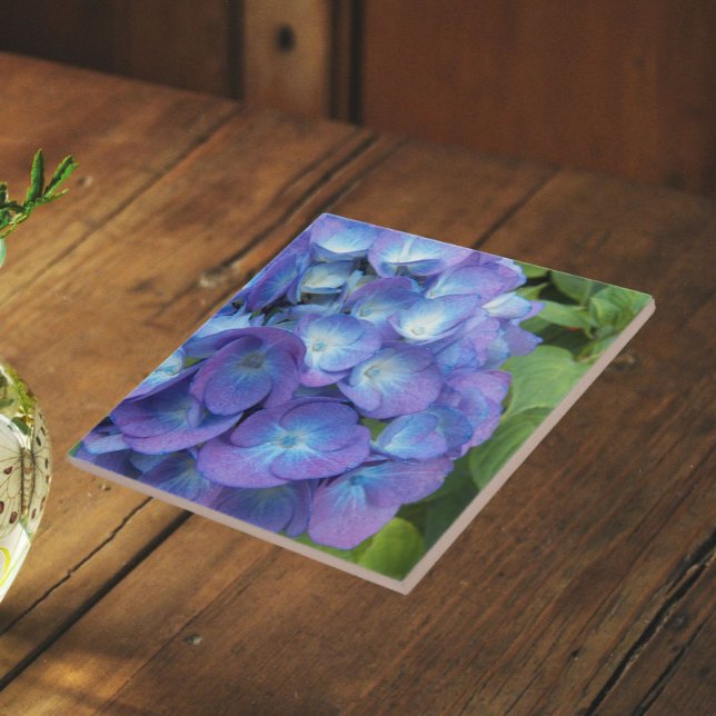 Blue Hydrangea Petals Floral Ceramic Tile (In Situ)