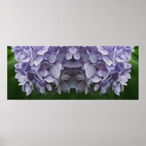 Blue Hydrangea Petals Mirror Abstract Poster