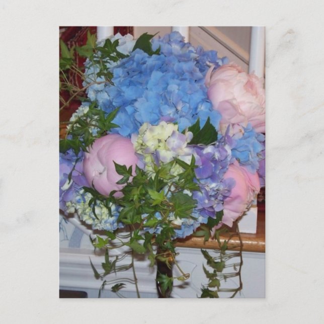 Blue Hydrangea Pink Peonies Postcard (Front)