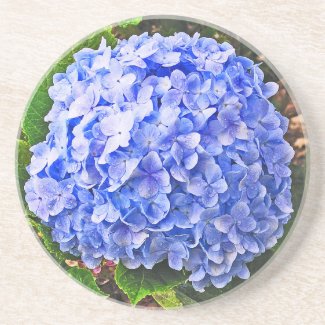 BLUE HYDRANGEA SANDSTONE COASTER