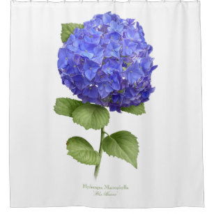 Hydrangea Shower Curtains Zazzle