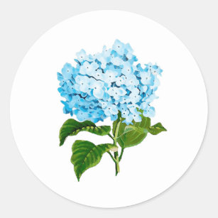 Blue Hydrangea Stickers