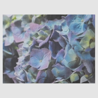 Blue Hydrangea Tissue Paper