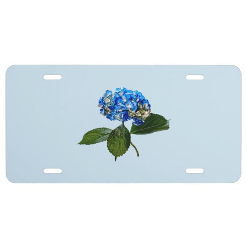 Blue Hydrangea With Leaves License Plate