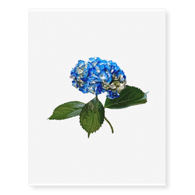 Blue Hydrangea With Leaves Temporary Tattoos (Front)