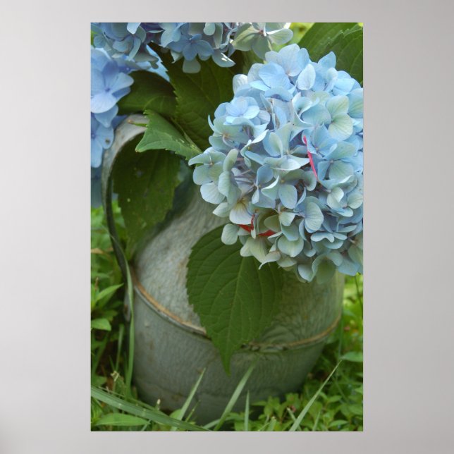 Blue Hydrangea With Pitcher Poster (Front)