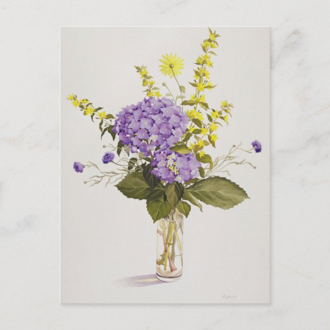 Blue Hydrangea with Yellow Loosestrife Postcard (Front)