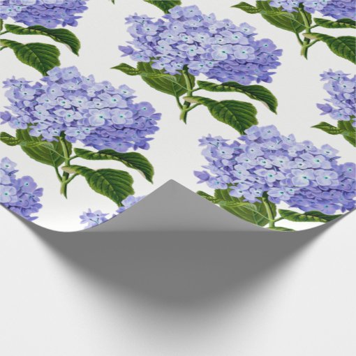 Blue Hydrangea Wrapping Paper | Zazzle