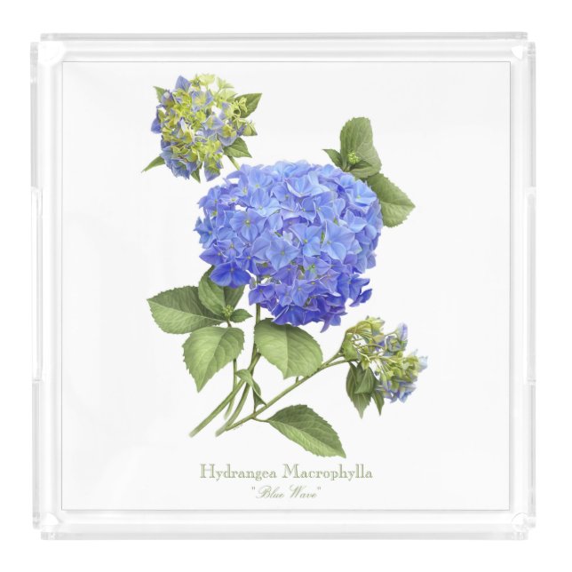 Blue Hydrangeas Acrylic Tray (Front)