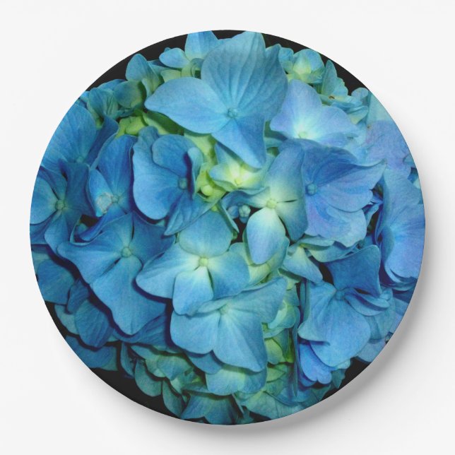 Blue Hydrangeas | blue floral photo  Paper Plates (Front)