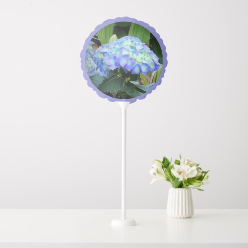 Blue Hydrangeas Flowers Floral Nature Photography Balloon