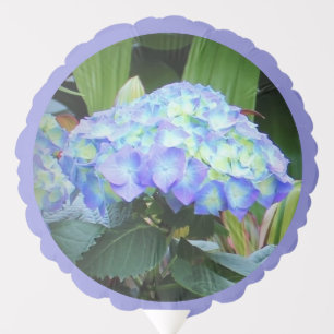 Blue Hydrangeas Flowers Floral Nature Photography Balloon