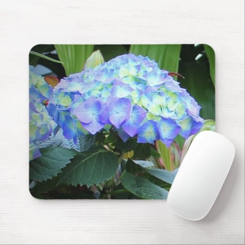 Blue Hydrangeas Flowers Floral Nature Photography Mouse Pad