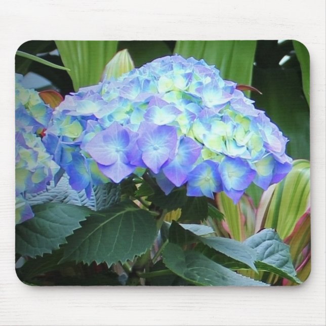 Blue Hydrangeas Flowers Floral Nature Photography Mouse Pad (Front)