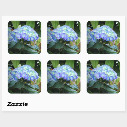 Blue Hydrangeas Flowers Floral Nature Photography Square Sticker