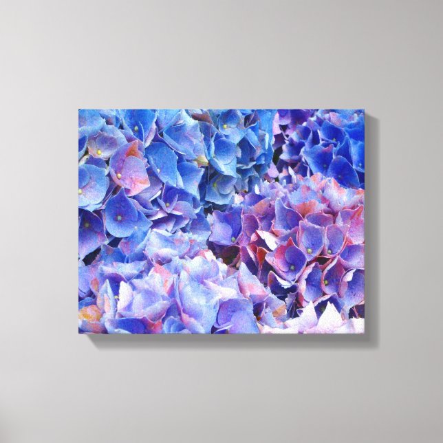 Blue Hydrangeas Flowers Photo Print (Front)