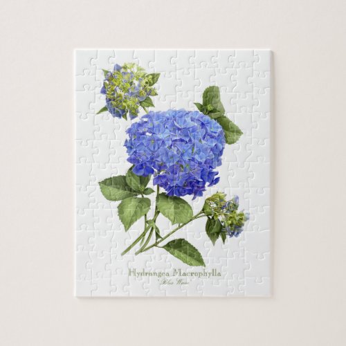 Blue Hydrangeas Jigsaw Puzzle