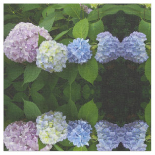 Blue Hydrangeas, pink hydrangeas, purple hydrangea Fabric