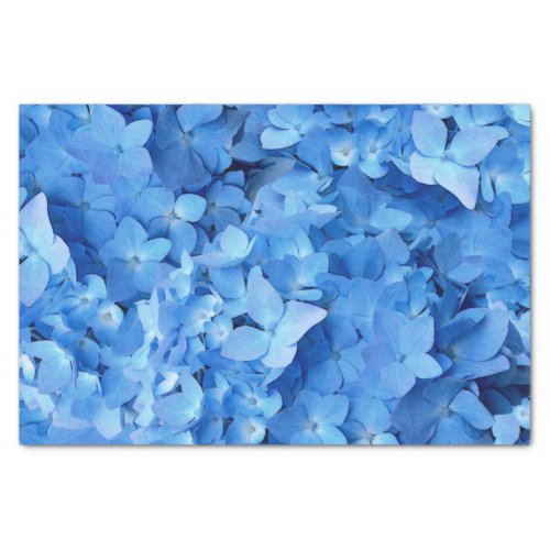 Blue Hydrangeas Real Flowers  Tissue Paper