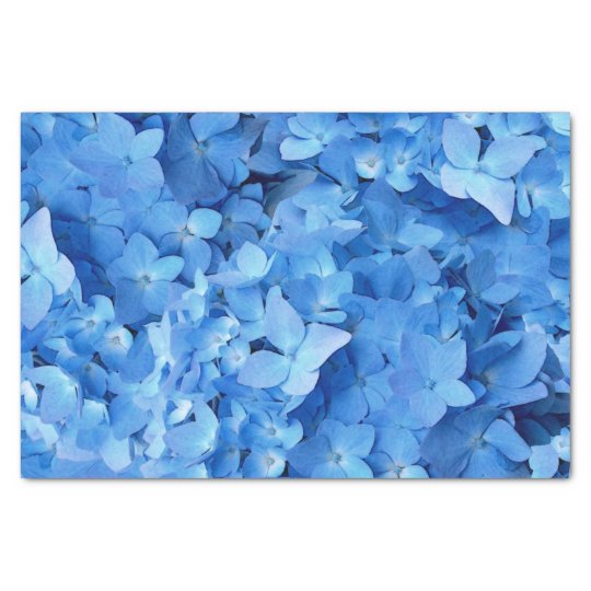 Blue Hydrangeas Real Flowers Tissue Paper