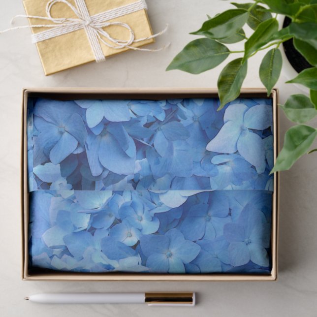 Blue Hydrangeas Real Flowers  Tissue Paper (Gift)