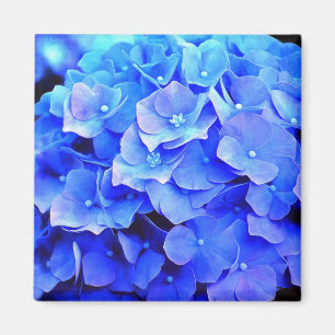 Blue Hydrangeas Refrigerator Magnet