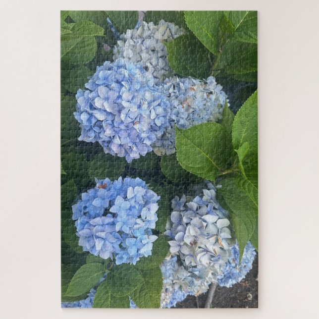 Blue Hydrangeas, San Lorenzo Jigsaw Puzzle (Vertical)